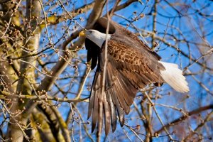 8U4A7159.jpg 8U4A7159.jpg