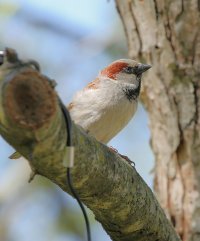 5D3_6728 ps3 fix - Copy.jpg 5D3_6728 ps3 fix - Copy.jpg