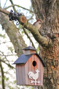 5D3_6756 ps3 fix - Copy.jpg 5D3_6756 ps3 fix - Copy.jpg