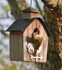 5D3_6898 ps3 fix - Copy.jpg 5D3_6898 ps3 fix - Copy.jpg