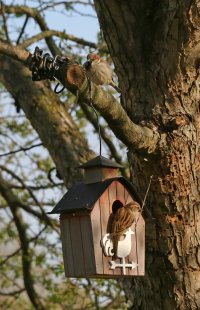 5D3_6973 ps3 fix - Copy.jpg 5D3_6973 ps3 fix - Copy.jpg