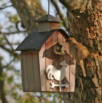 5D3_7015 ps3 fix - Copy.jpg 5D3_7015 ps3 fix - Copy.jpg