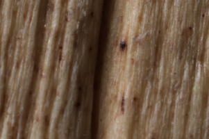 Screenshot 2023-03-30 at 12.15.15 PM.png