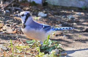 5D3_7366 ps3 fix - Copy.jpg