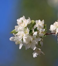 IMG_6431 - Copy - Copy.JPG