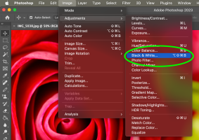 Screenshot 2023-04-13 at 7.17.52 AM.png