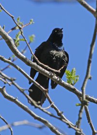 5D3_8688 ps3 fix - Copy.jpg