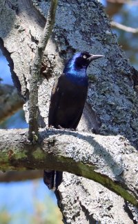 IMG_6700 ps3 fix - Copy.jpg