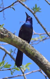 IMG_6702 ps3 fix - Copy.jpg