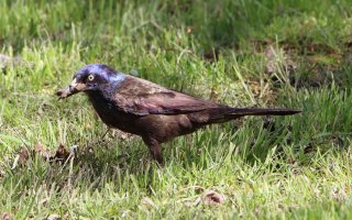 IMG_6750 ps3 fix - Copy.jpg