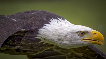 HB 20230415_51A0051_DxO-Bearbeitet.JPG