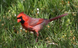 5D3_8901 ps3 fix-SharpenAI-Focus - Copy.jpg