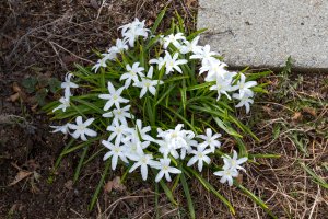 eos r50 first shots (6 of 9)-4096 to Downloads-2.jpg