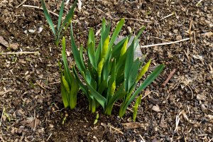 eos r50 first shots (8 of 9)-4096 to Downloads-2.jpg