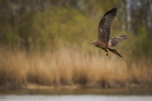 HB 20230426_74A9067_DxO-Bearbeitet.JPG