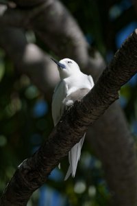 DSC_5924_DxO.jpg DSC_5924_DxO.jpg