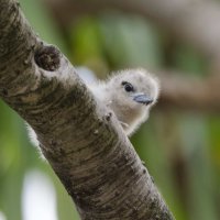 DSC_6195_DxO.jpg DSC_6195_DxO.jpg