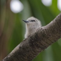 DSC_6237_DxO.jpg DSC_6237_DxO.jpg