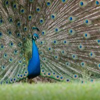 DSC_6048_DxO-2.jpg DSC_6048_DxO-2.jpg