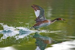 HB 20230505_74A9497_DxO-Bearbeitet.JPG