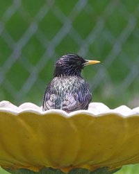 5D3_9848 ps3 fix - Copy.jpg