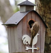 5D3_9999 ps3 fix - Copy.jpg