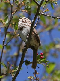 5D3_9236 picasa scrop ps3 fix - Copy.jpg