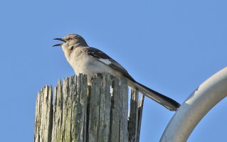 5D3_9394 ps3 fix - Copy.jpg