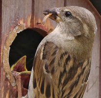 5D3_0054 ps3 fix and crop 2-topaz-enhance - Copy.jpg