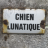 ChienLunatique