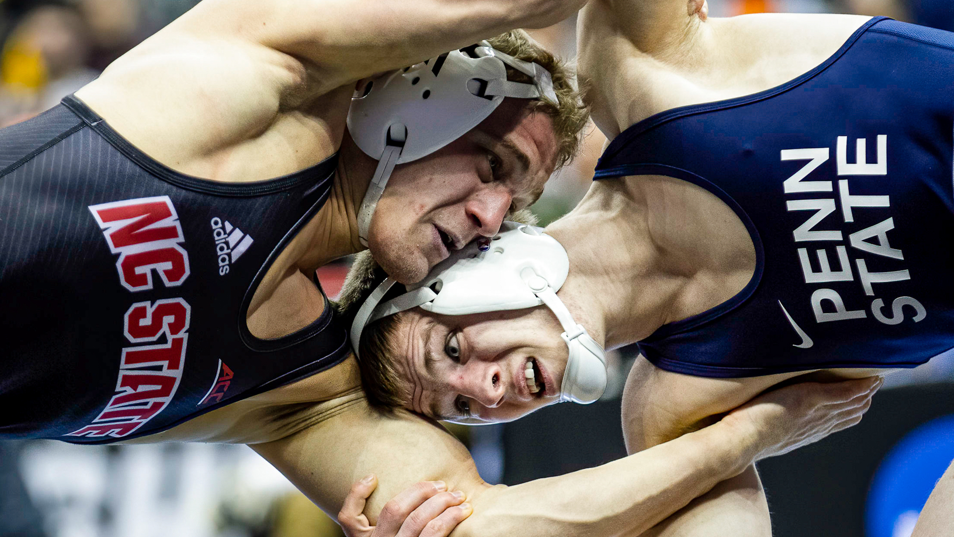 Aperture 2020 6 of 15.jpg