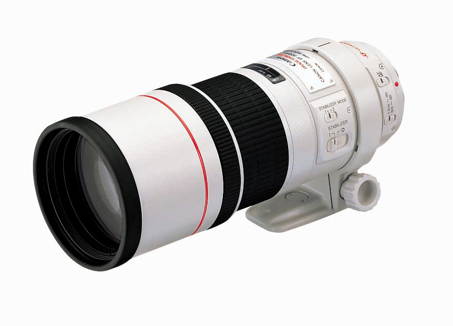 480 canon ef 300mm f4.0l - New Lenses in January [CR1]