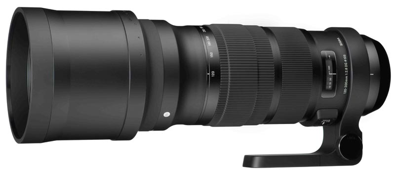 001 - Sigma 120-300 f/2.8 DG OS HSM Now in Stock