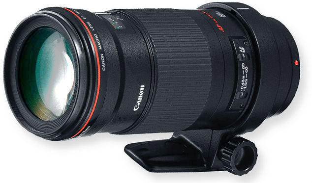 Canon EF180mmf35LUSM - Another Mention of a New Macro Lens in 2014 [CR1]