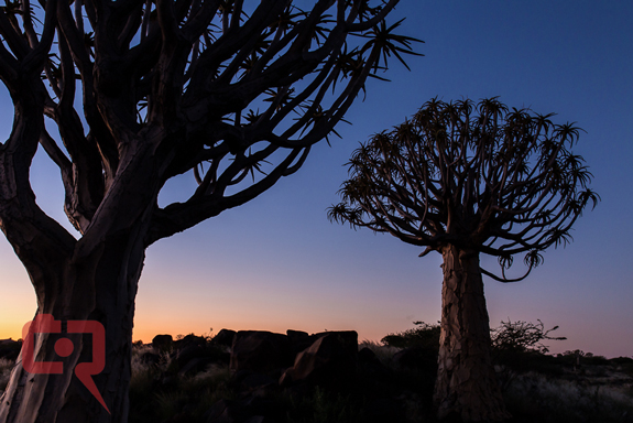 namibia01 - Shooting in Namibia with the Canon EOS 6D