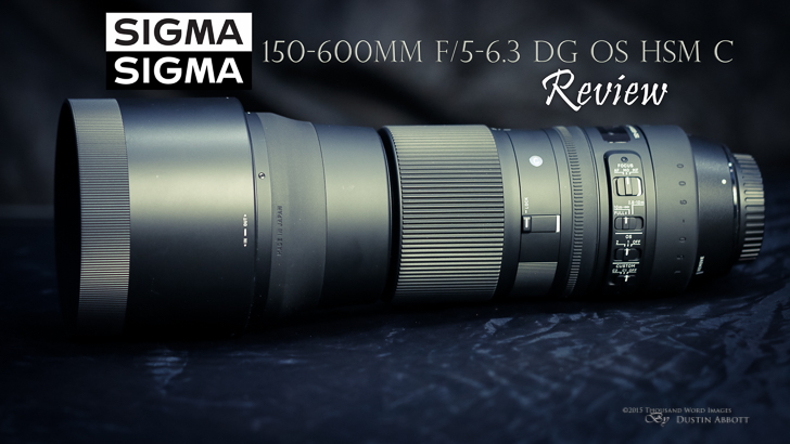 Sigma 150 600 C Review 14 - Review: Sigma 150-600mm f/5-6.3 OS Contemporary