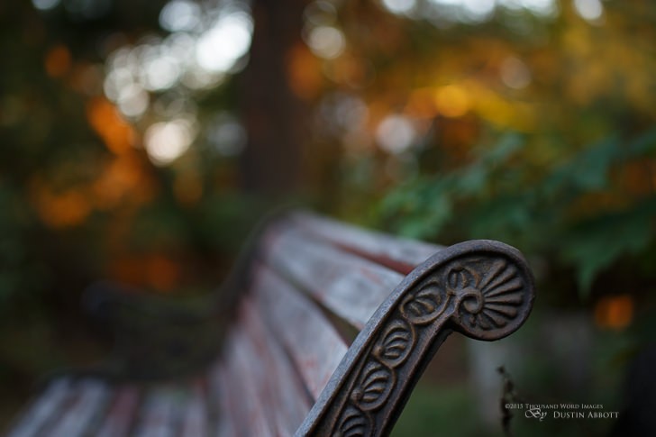 © 2015 Thousand Word Images by Dustin Abbott I've got my grubby mitts on a pair of brand new Tamron primes - the 35mm f/1.8 VC and 45mm f/1.8 VC lenses. Amongst other things that they do very well, they can focus down very, very close. The 45mm in particular stands out amongst other 50(ish)mm lenses with the ability to focus down less than a foot and has a .29x magnification value (typical 50mm is about .15x). As a result you have a chance to really create a lot of bokeh with it. This isn't focused super closely, but it shows off a bit. This is SOOC other than adding a little exposure to the edge of the bench to balance things out. I've got a gallery with a bunch of other images here: http://bit.ly/1Kx9cTy. Come check it out! Technical Information: Canon EOS 6D, Tamron SP 45mm f/1.8 Di VC USD, Processed in Adobe Lightroom CC Want to know more about me or make contact? Take a look at my website and find a lot of ways to connect and view my work.