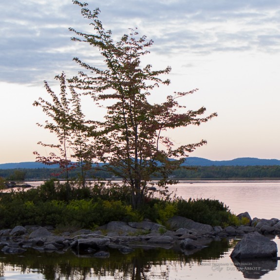 Handheld Exposure and Crop-2