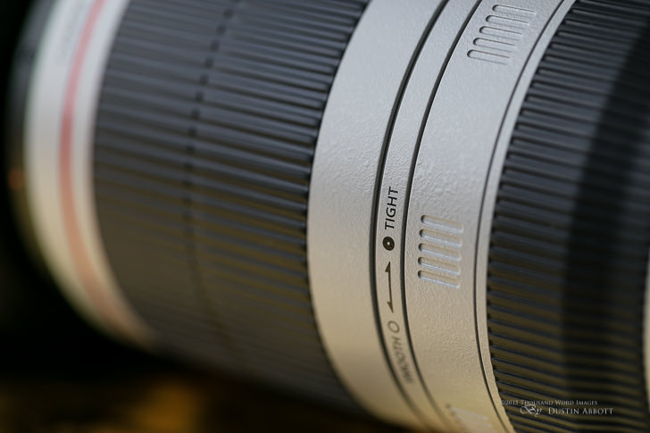 Product Shots 4 - Review: Canon EF 100-400mm f/4.5-5.6L IS II