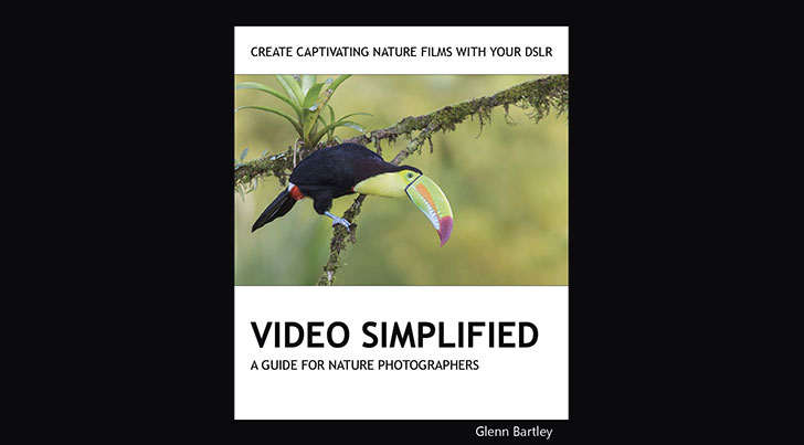 videosimplified - CR Exclusive Deal: Glenn Bartley's Simplified Series eBooks