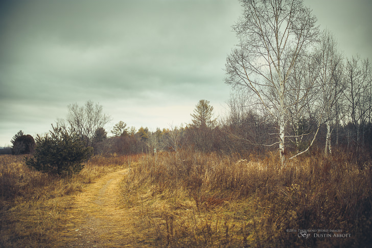 © 2015 Thousand Word Images by Dustin Abbott It's a different kind of December. A typically year will see us having several feet of snow already; snow that will stay usually until April. But this year is different. The ground is still bare and not frozen, there have been a few minor snowfalls that have quickly disappeared, and the Christmas forecast is for mild temperature and no more than a flurry or two. Also different is the ability of the new Canon 35mm f/1.4L II to pull off a landscape scene like this at f/1.4. This is Zeiss Otus-like image quality, and as I compare this new lens with the Sigma 35mm f/1.4 ART, it is quickly making me a believer despite its stiff price tag. Watch for me review in early 2016. Technical Information: Canon EOS 6D, Canon EF 35mm f/1.4L II USM, Processed in Adobe Lightroom CC, Photoshop CC, and Alien Skin Exposure X (use code "dustinabbott" to get 10% off) Want to know more about me or make contact? Take a look at my website and find a lot of ways to connect and view my work.