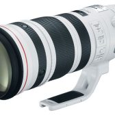 Canon EF 200-400mm f/4L IS USM 1.4x