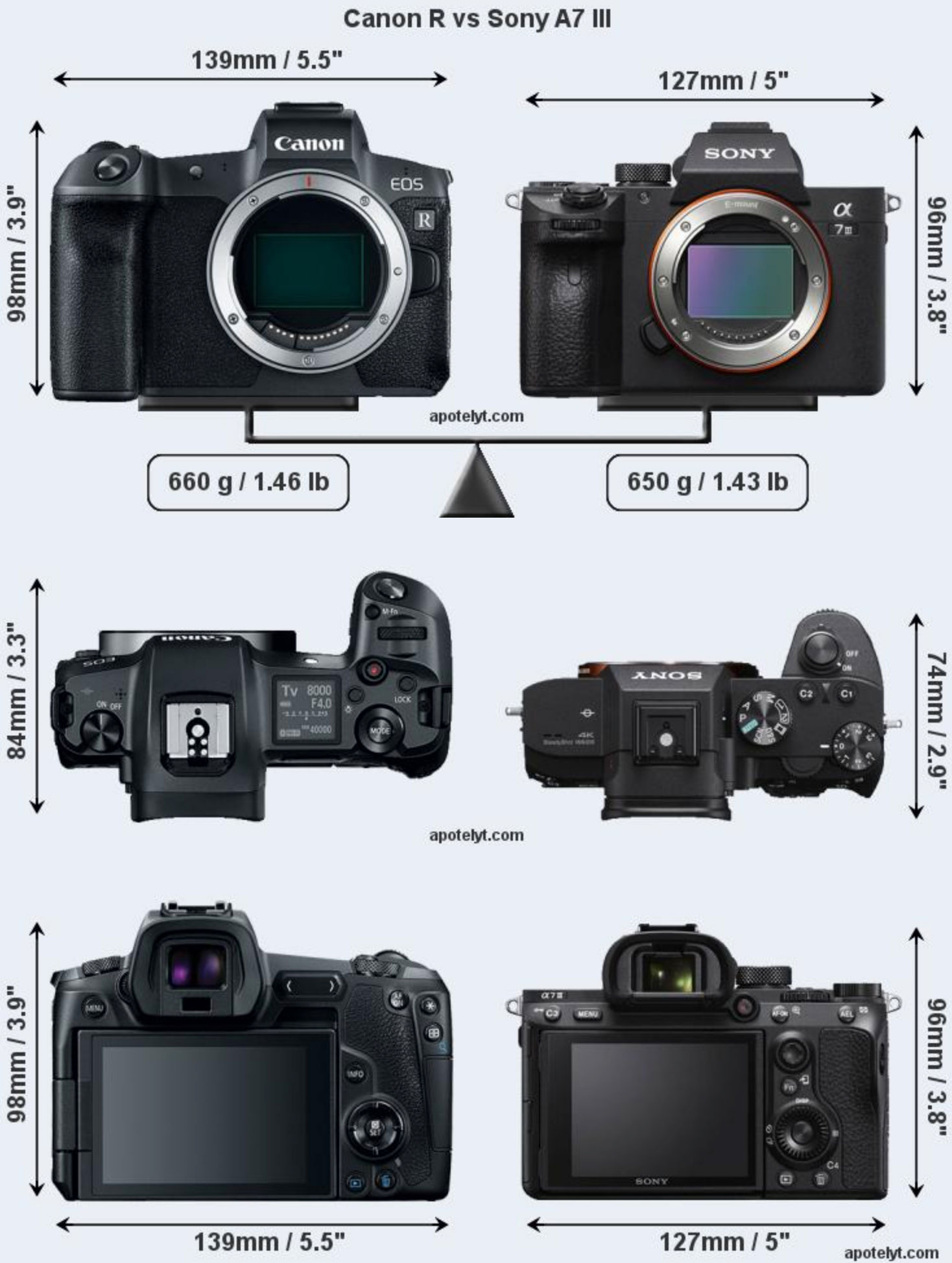 Canon nikon сравнение. Nikon z5 vs Canon r6. Canon EOS R или Nikon z6 II.