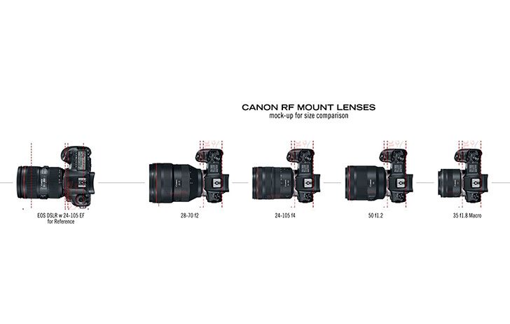 rflenscomparisonheader 728x462 - Canon RF lens size comparison when mounted to the Canon EOS R body