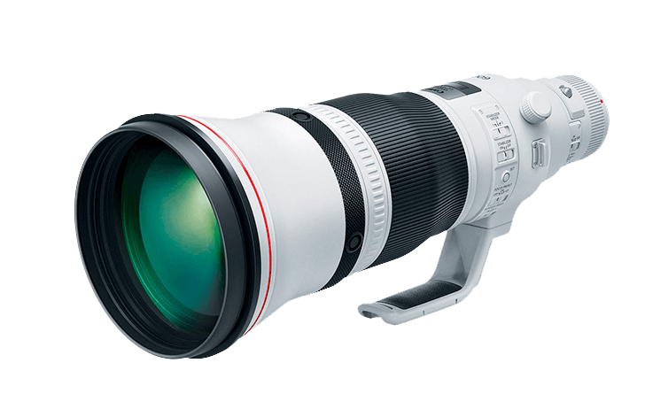 600poll 728x462 - Canon releases a product advisory for the EF 400mm f/2.8L IS III and EF 600mm f/4L IS III