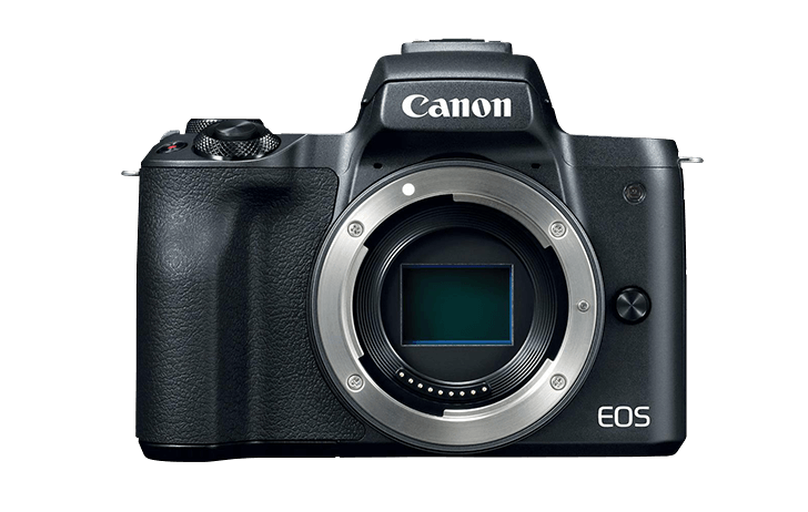 pollm50 728x462 - The Canon EOS M50 and Canon EOS R continued to sell well in December