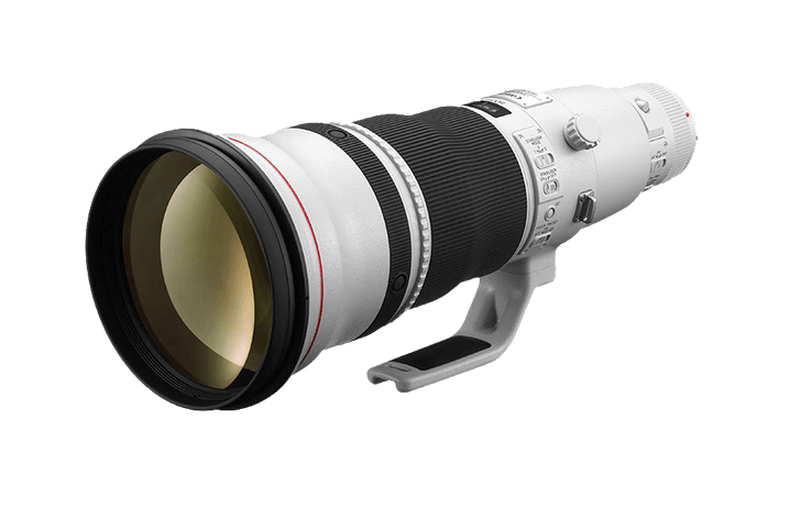 canon6002 728x462 - Review: Canon EF 600mm f/4L IS III USM