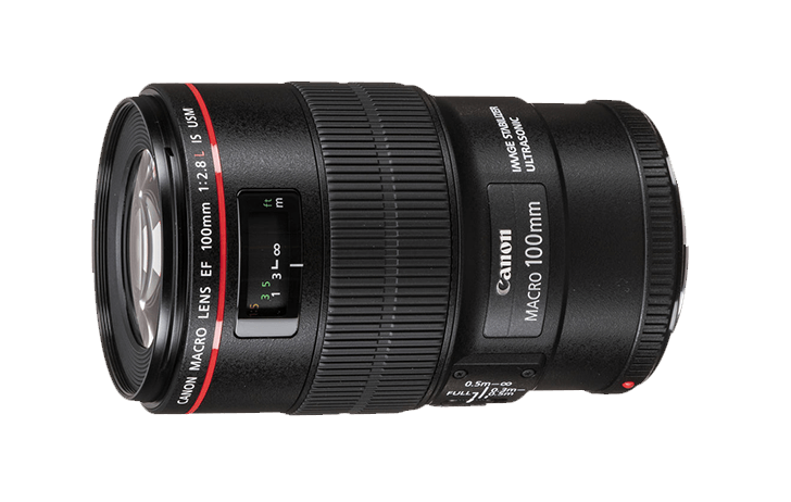 ef100Lmacropng 728x462 - An RF mount L macro lens will be announced alongside the high-megapixel EOS R camera