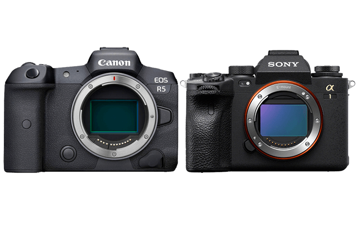 r5a1comp - IBIS comparison: Canon EOS R5 vs Sony α1