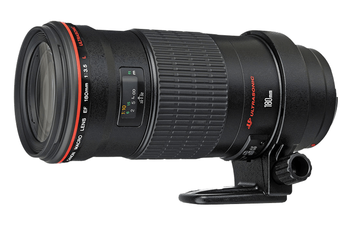 canon rf 180mm macro